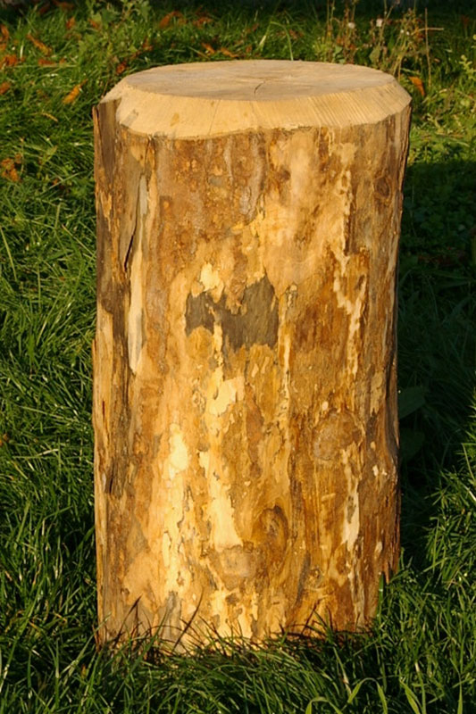 HeizHof Andisleben - Brennstoffe: Holz, Kohlen, Pellets, Holzbriketts